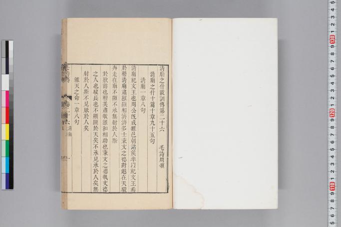 拡大画像へ