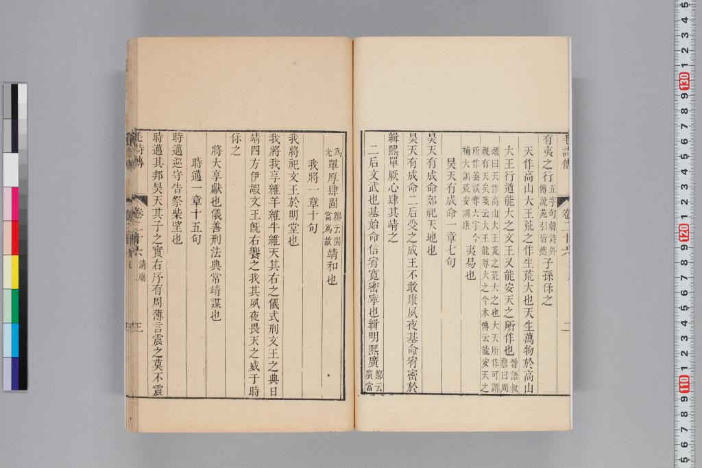 標準画像へ