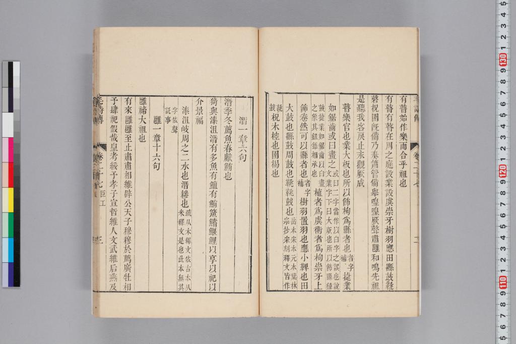 標準画像へ