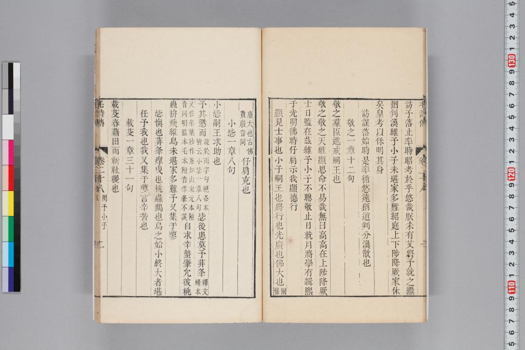 標準画像へ