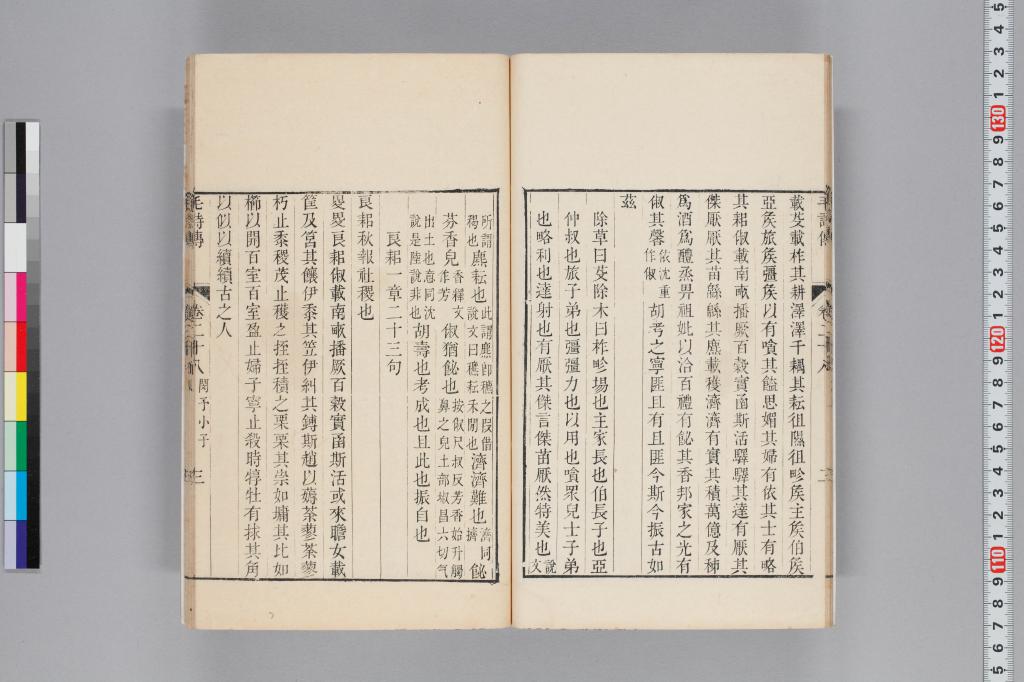 標準画像へ