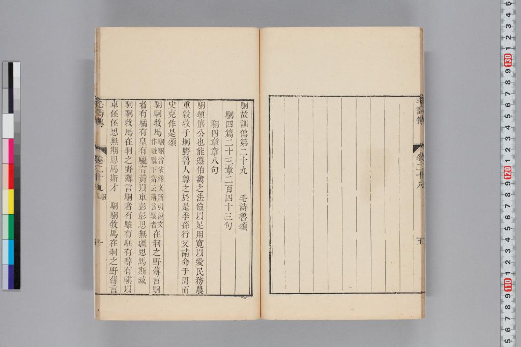 標準画像へ