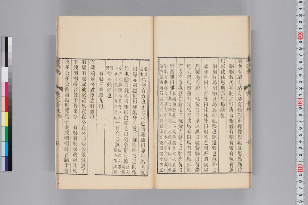 標準画像へ