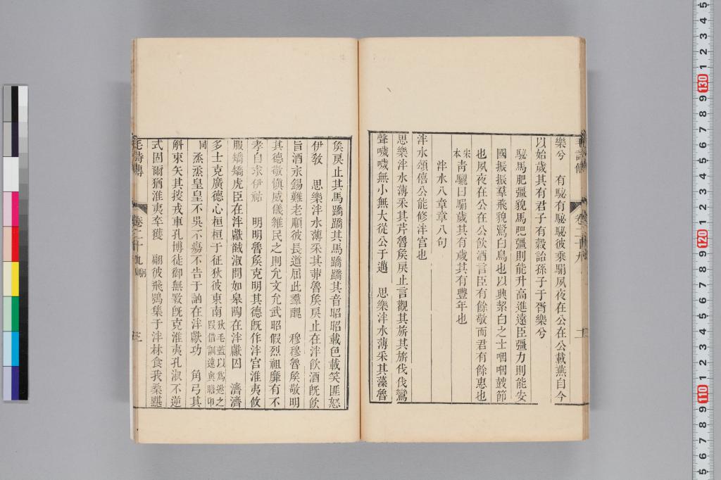 標準画像へ