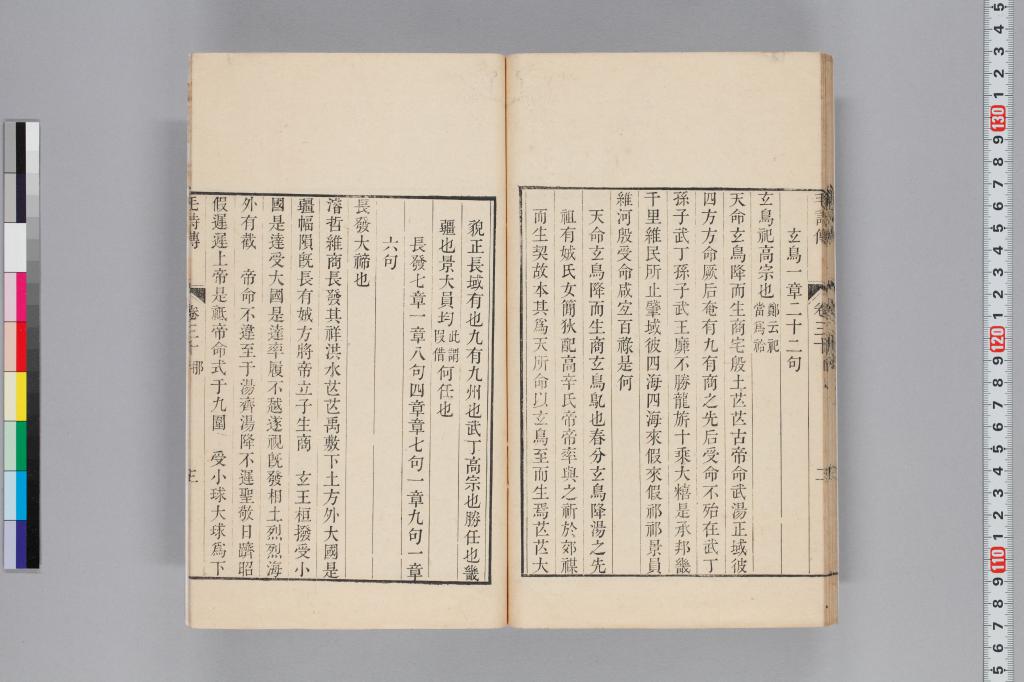 標準画像へ