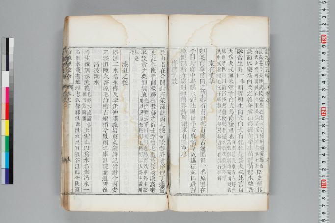 拡大画像へ