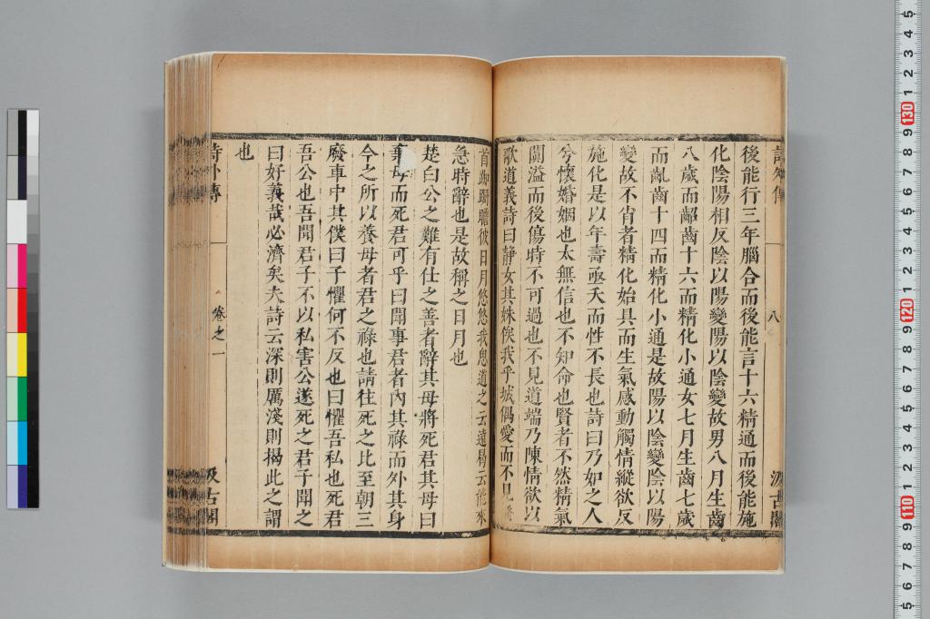 標準画像へ