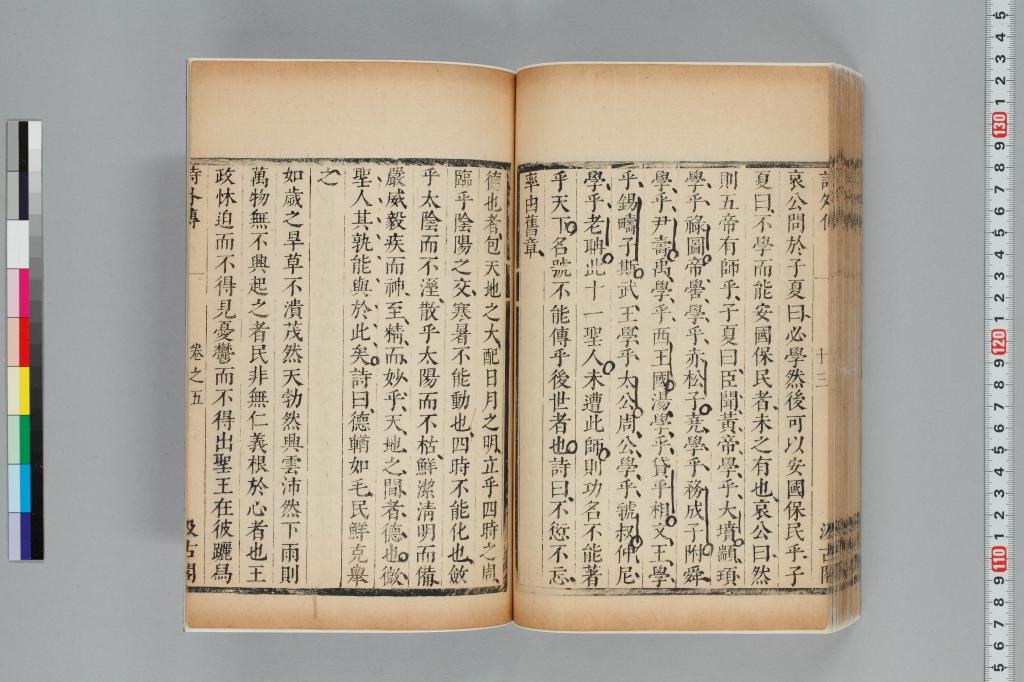 標準画像へ