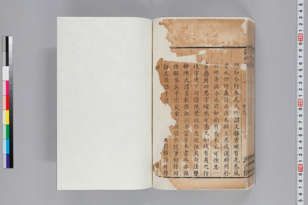 標準画像へ