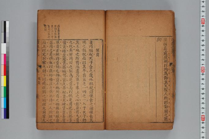 拡大画像へ