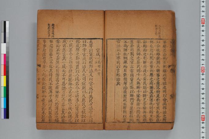 拡大画像へ