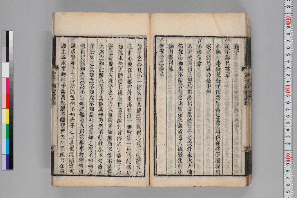 標準画像へ