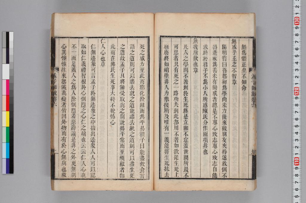 標準画像へ