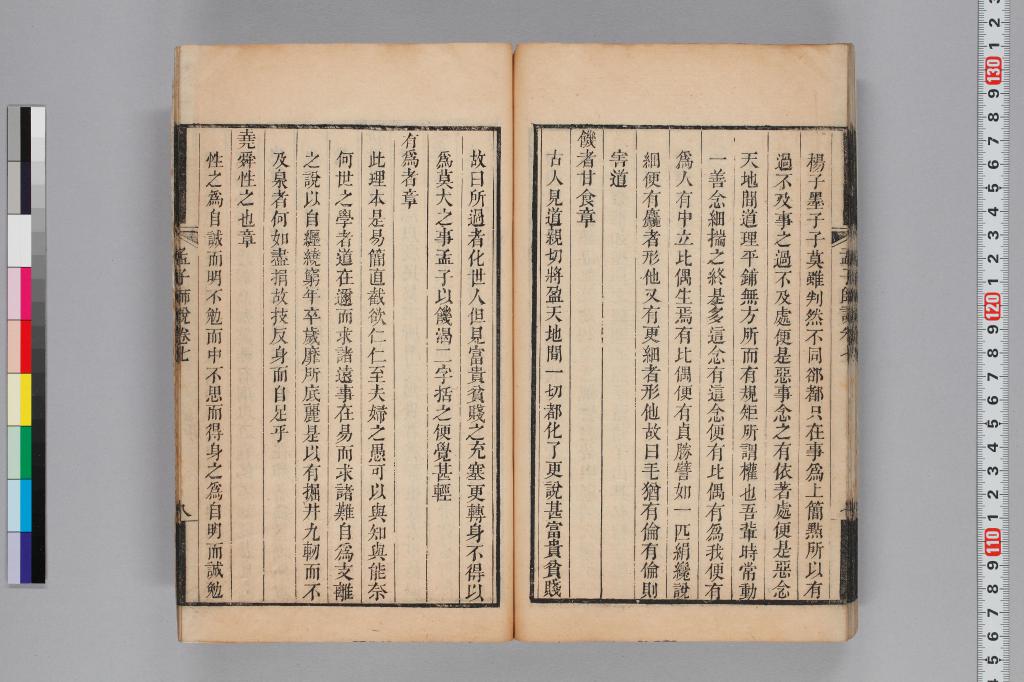 標準画像へ