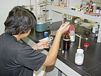 写真：秋山研 実験室（有機化学）