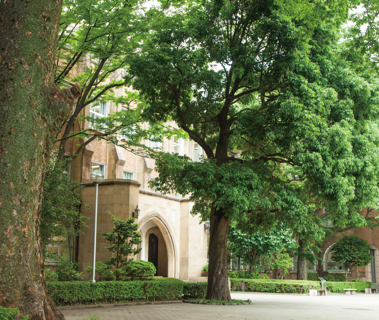 学習院大学 理学部 | 学習院大学 理学部 学習院大学大学院 自然