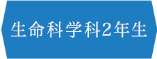 生命科学科2年生