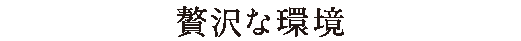 贅沢な環境