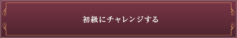 初級にチャレンジする