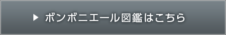 ボンボニエール図鑑はこちら