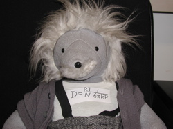 [Einstein bear with the Einstein relation]