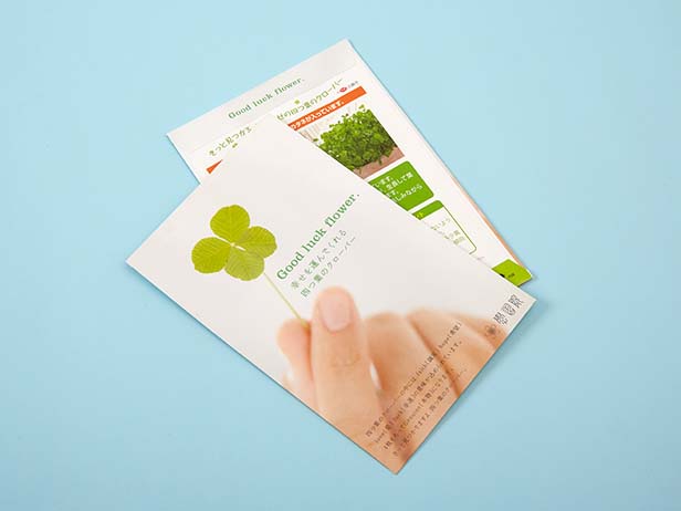 「しあわせを運ぶ四つ葉のクローバー(種)